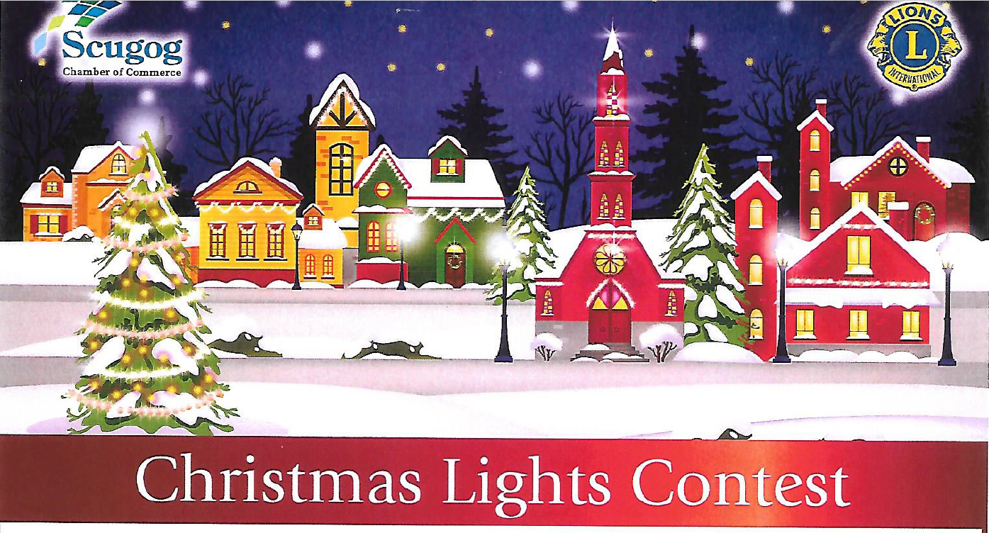 Gallery: Christmas Lights Contest Winners 2020